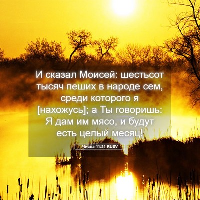 Picture 05 - Числа 11:21 RUSV - И сказал Моисей: шестьсот - Bible Verse Picture