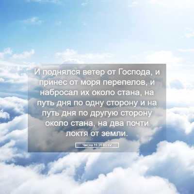 Picture 05 - Числа 11:31 RUSV - И поднялся ветер от - Bible Verse Picture