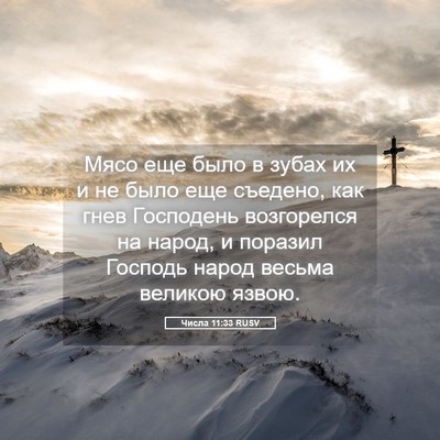 Picture 05 - Числа 11:33 RUSV - Мясо еще было в зубах их и - Bible Verse Picture