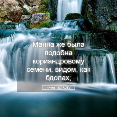 Picture 05 - Числа 11:7 RUSV - Манна же была подобна - Bible Verse Picture