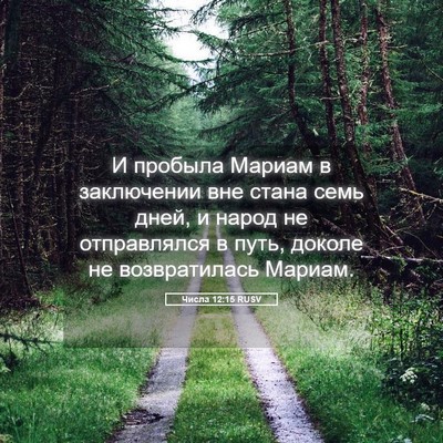 Picture 05 - Числа 12:15 RUSV - И пробыла Мариам в - Bible Verse Picture