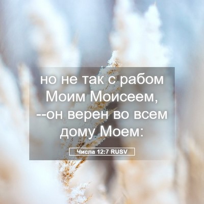 Picture 05 - Числа 12:7 RUSV - но не так с рабом Моим - Bible Verse Picture