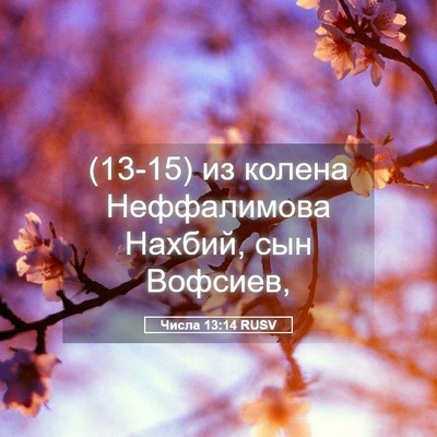Picture 05 - Числа 13:14 RUSV - (13-15) из колена Неффалимова - Bible Verse Picture