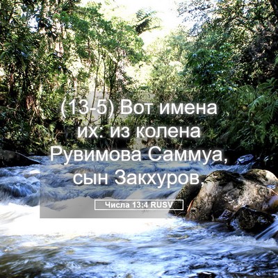 Picture 05 - Числа 13:4 RUSV - (13-5) Вот имена их: из колена - Bible Verse Picture