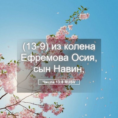 Picture 05 - Числа 13:8 RUSV - (13-9) из колена Ефремова - Bible Verse Picture