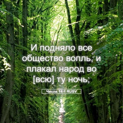 Picture 05 - Числа 14:1 RUSV - И подняло все общество - Bible Verse Picture