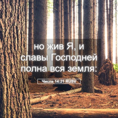 Picture 05 - Числа 14:21 RUSV - но жив Я, и славы Господней - Bible Verse Picture