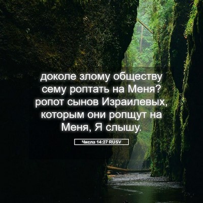Picture 05 - Числа 14:27 RUSV - доколе злому обществу сему - Bible Verse Picture