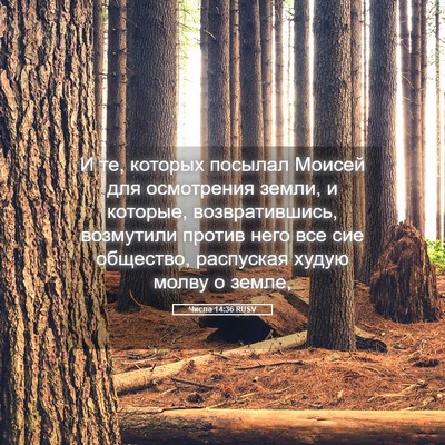 Picture 05 - Числа 14:36 RUSV - И те, которых посылал - Bible Verse Picture