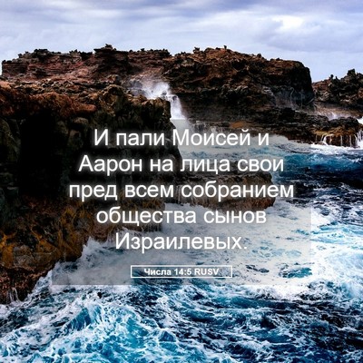 Picture 05 - Числа 14:5 RUSV - И пали Моисей и Аарон на - Bible Verse Picture