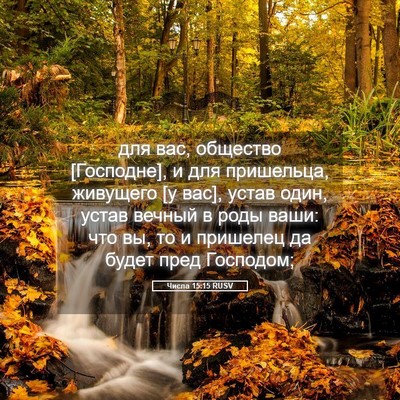 Picture 05 - Числа 15:15 RUSV - для вас, общество - Bible Verse Picture