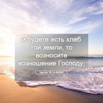 Picture 05 - Числа 15:19 RUSV - и будете есть хлеб той - Bible Verse Picture