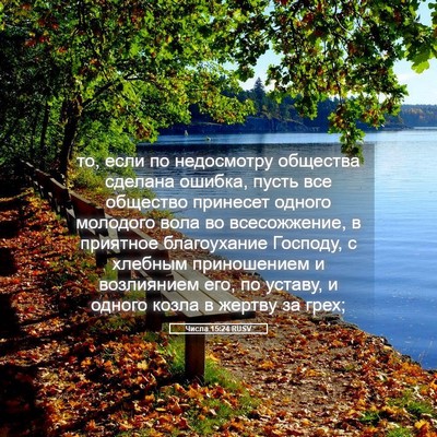 Picture 05 - Числа 15:24 RUSV - то, если по недосмотру - Bible Verse Picture