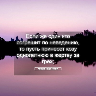 Picture 05 - Числа 15:27 RUSV - Если же один кто согрешит - Bible Verse Picture