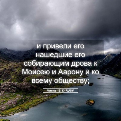 Picture 05 - Числа 15:33 RUSV - и привели его нашедшие его - Bible Verse Picture