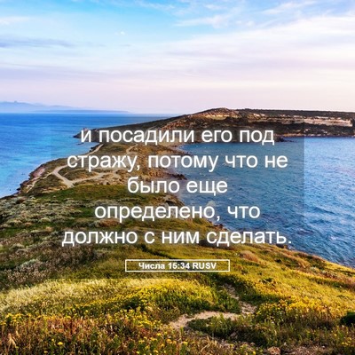 Picture 05 - Числа 15:34 RUSV - и посадили его под стражу, - Bible Verse Picture