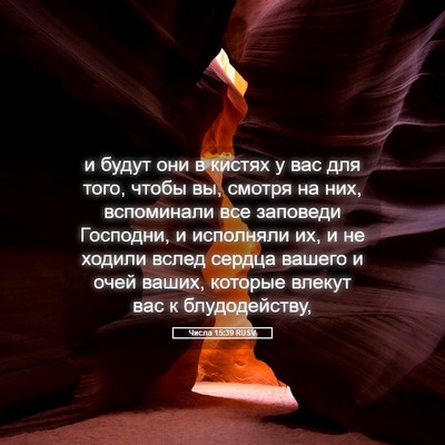 Picture 05 - Числа 15:39 RUSV - и будут они в кистях у вас - Bible Verse Picture