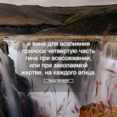 Picture 05 - Числа 15:5 RUSV - и вина для возлияния - Bible Verse Picture