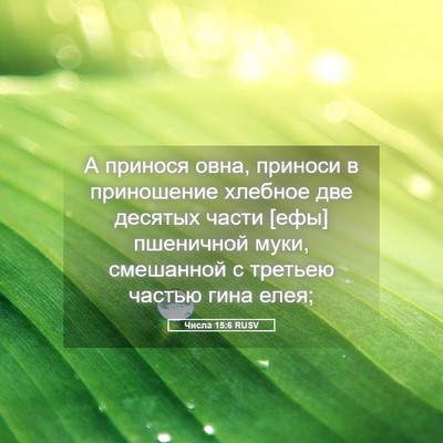 Picture 05 - Числа 15:6 RUSV - А принося овна, приноси в - Bible Verse Picture