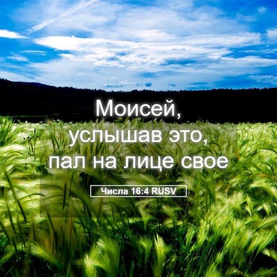 Picture 05 - Числа 16:4 RUSV - Моисей, услышав это, пал на - Bible Verse Picture