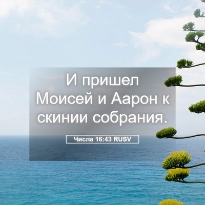 Picture 05 - Числа 16:43 RUSV - И пришел Моисей и Аарон к - Bible Verse Picture