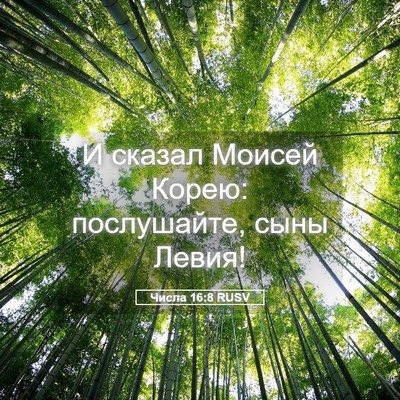 Picture 05 - Числа 16:8 RUSV - И сказал Моисей Корею: - Bible Verse Picture