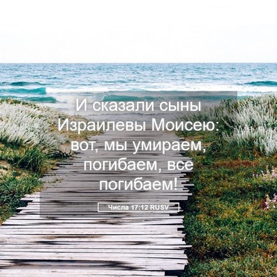 Picture 05 - Числа 17:12 RUSV - И сказали сыны Израилевы - Bible Verse Picture