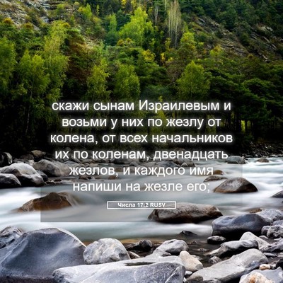 Picture 05 - Числа 17:2 RUSV - скажи сынам Израилевым и - Bible Verse Picture