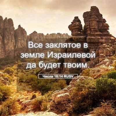 Picture 05 - Числа 18:14 RUSV - Все заклятое в земле - Bible Verse Picture