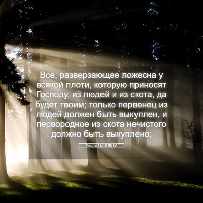 Picture 05 - Числа 18:15 RUSV - Все, разверзающее ложесна - Bible Verse Picture