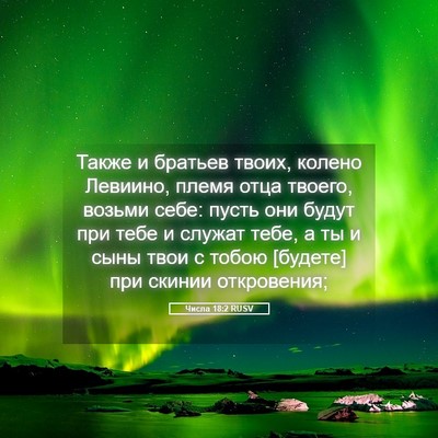 Picture 05 - Числа 18:2 RUSV - Также и братьев твоих, - Bible Verse Picture