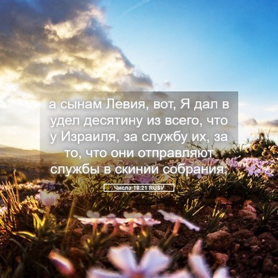 Picture 05 - Числа 18:21 RUSV - а сынам Левия, вот, Я дал в - Bible Verse Picture