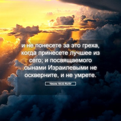 Picture 05 - Числа 18:32 RUSV - и не понесете за это греха, - Bible Verse Picture