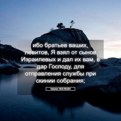Picture 05 - Числа 18:6 RUSV - ибо братьев ваших, левитов, - Bible Verse Picture