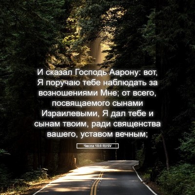 Picture 05 - Числа 18:8 RUSV - И сказал Господь Аарону: - Bible Verse Picture