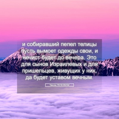Picture 05 - Числа 19:10 RUSV - и собиравший пепел телицы - Bible Verse Picture