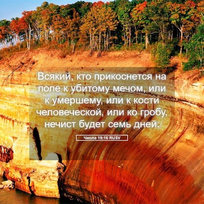 Picture 05 - Числа 19:16 RUSV - Всякий, кто прикоснется на - Bible Verse Picture