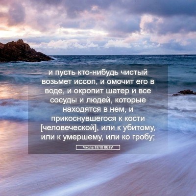 Picture 05 - Числа 19:18 RUSV - и пусть кто-нибудь чистый - Bible Verse Picture