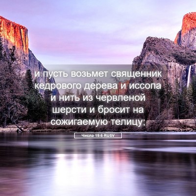 Picture 05 - Числа 19:6 RUSV - и пусть возьмет священник - Bible Verse Picture
