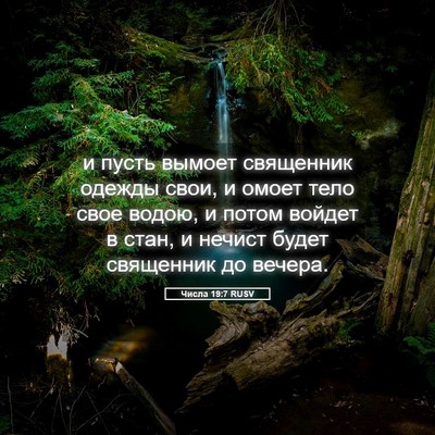 Picture 05 - Числа 19:7 RUSV - и пусть вымоет священник - Bible Verse Picture