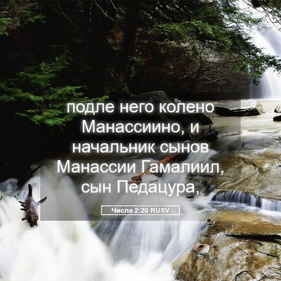 Picture 05 - Числа 2:20 RUSV - подле него колено - Bible Verse Picture