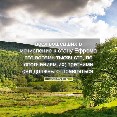Picture 05 - Числа 2:24 RUSV - всех вошедших в исчисление - Bible Verse Picture