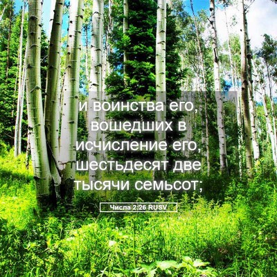 Picture 05 - Числа 2:26 RUSV - и воинства его, вошедших в - Bible Verse Picture