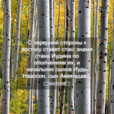 Picture 05 - Числа 2:3 RUSV - С передней стороны к - Bible Verse Picture