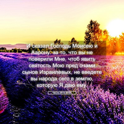 Picture 05 - Числа 20:12 RUSV - И сказал Господь Моисею и - Bible Verse Picture