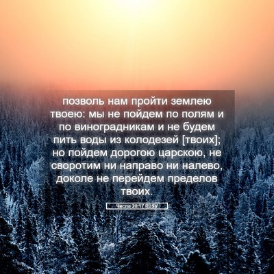 Picture 05 - Числа 20:17 RUSV - позволь нам пройти землею - Bible Verse Picture