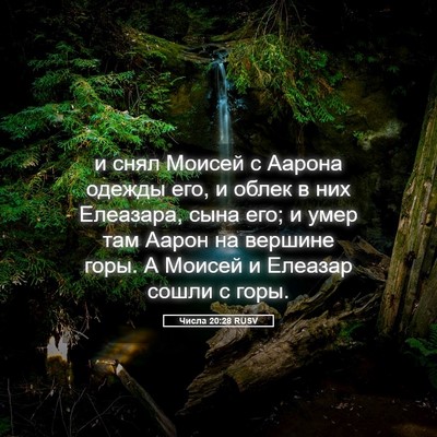 Picture 05 - Числа 20:28 RUSV - и снял Моисей с Аарона - Bible Verse Picture