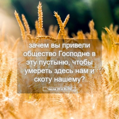 Picture 05 - Числа 20:4 RUSV - зачем вы привели общество - Bible Verse Picture