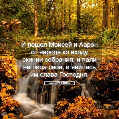 Picture 05 - Числа 20:6 RUSV - И пошел Моисей и Аарон от - Bible Verse Picture