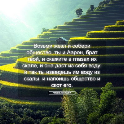 Picture 05 - Числа 20:8 RUSV - Возьми жезл и собери - Bible Verse Picture